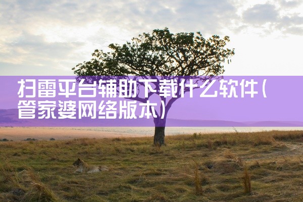 扫雷平台辅助下载什么软件