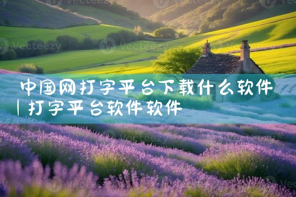 简介：9apps是阿里巴巴面向国外市场的安卓应用下载平台。优点：界面美观无广告，软件经过验证审核，确保安全性。提供国际化的多语言版本和APP客户端，方便用户下载和管理应用。缺点：内容没有Google ,