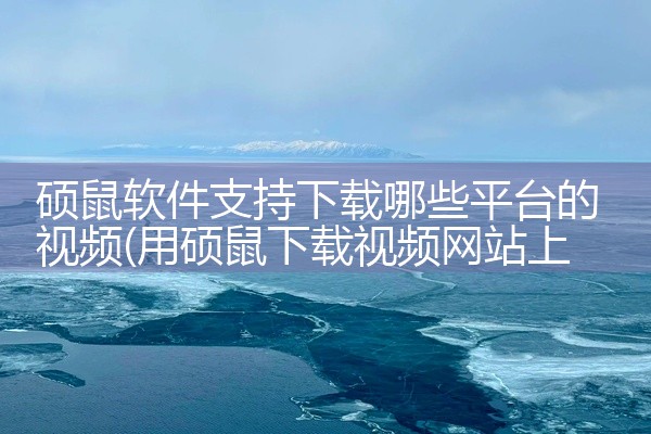 硕鼠软件支持下载哪些平台的视频