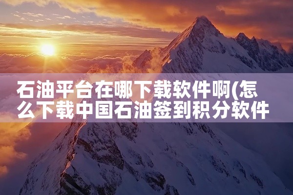 石油平台在哪下载软件啊