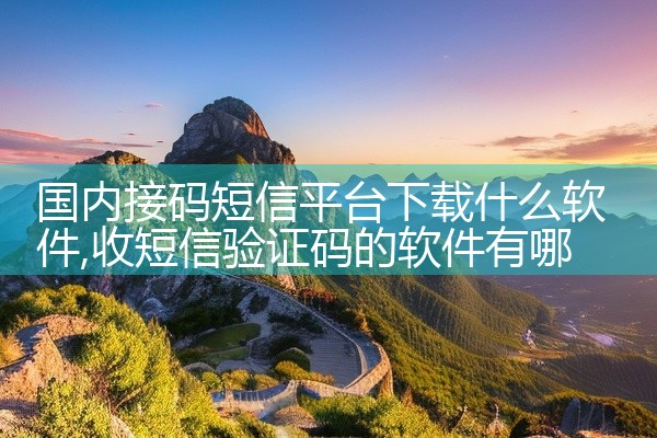 国内接码短信平台下载什么软件