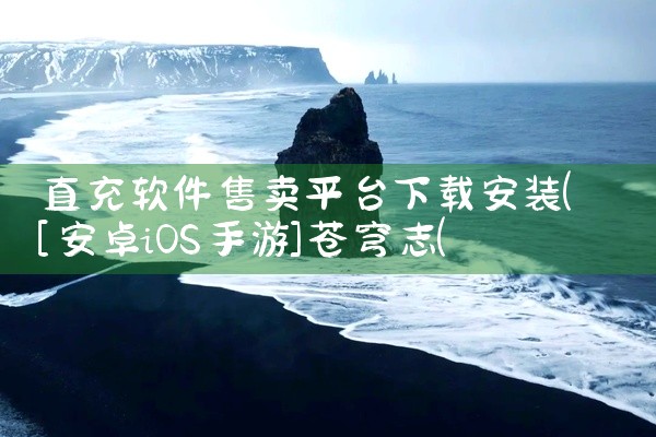 直充软件售卖平台下载安装