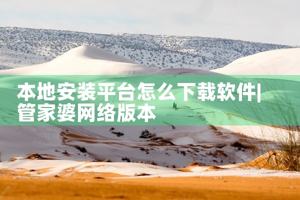 本地安装平台怎么下载软件